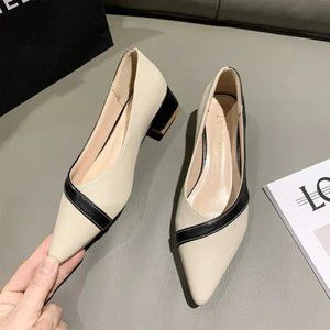 women's thick heel pointed toe pumps